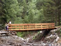 il nuovo ponte
		lungo il sentiero tra Serdes e l'Alpe di Senes