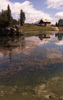 Lastoi de
			Formìn, da Forcella Giau, Dolomiti