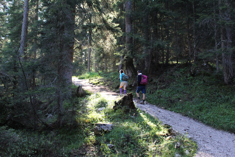 Escursione Croda da Lago