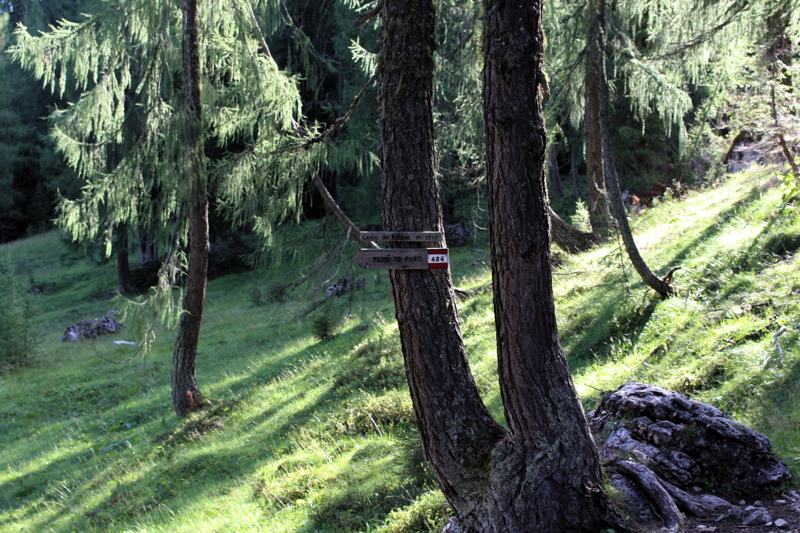 Escursione Croda da Lago