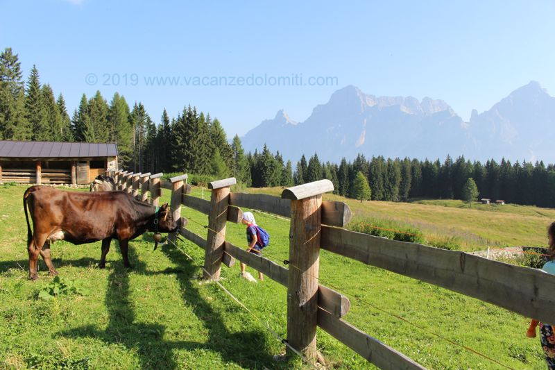 Escursione al Rifugio Venezia