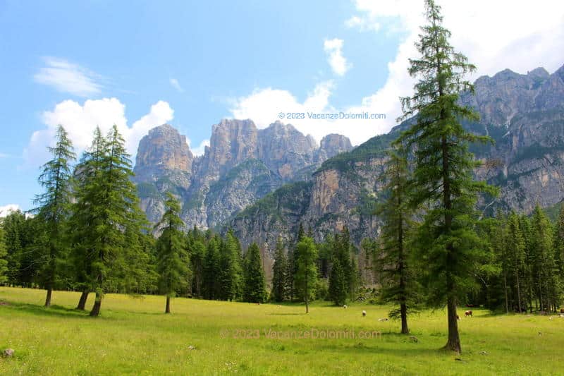 Escursione al Rifugio Sommavilla al Pramperét e Malga Prampèr