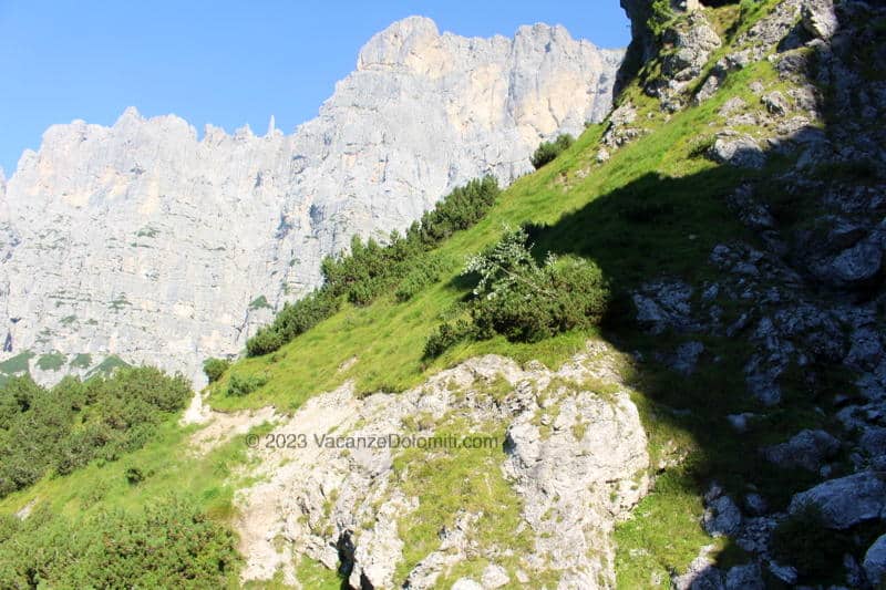 anello Rifugio VII Alpini