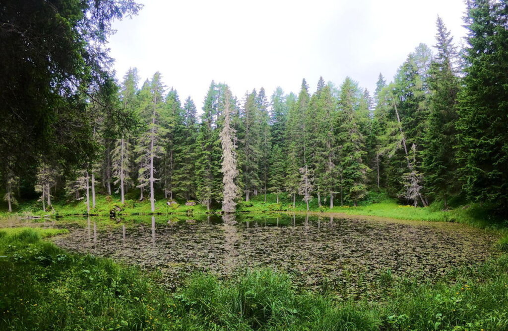 Escursione lago Ceolié